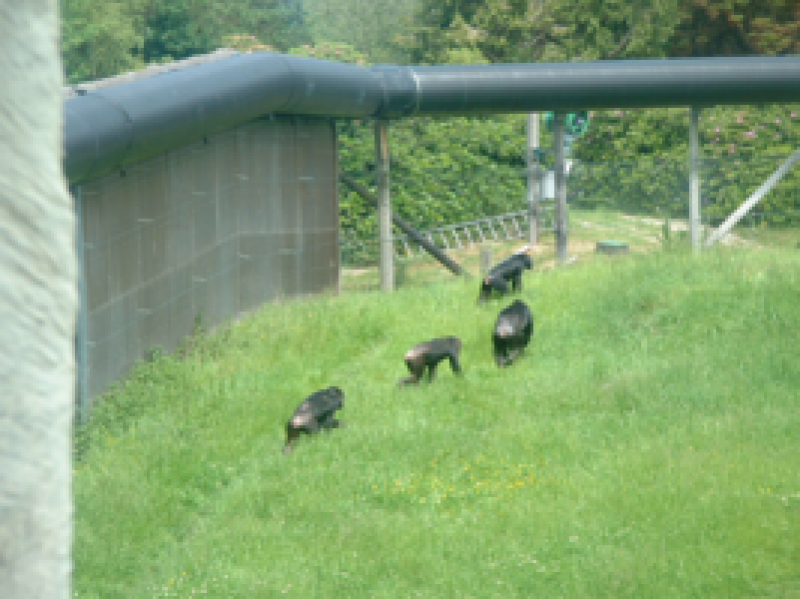 DSCF0011_267x200021111.png