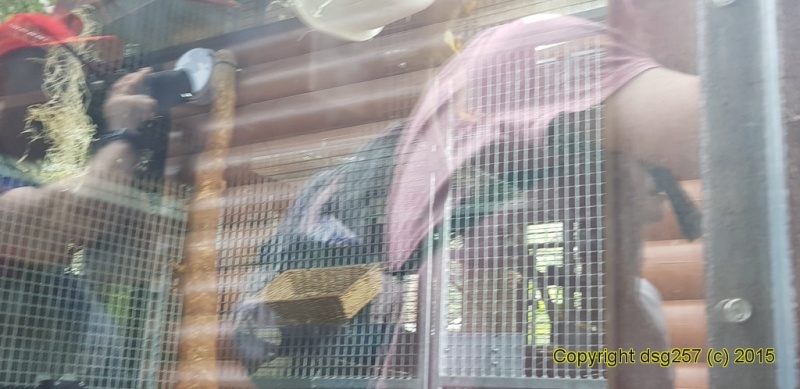 20180719_142443.jpg