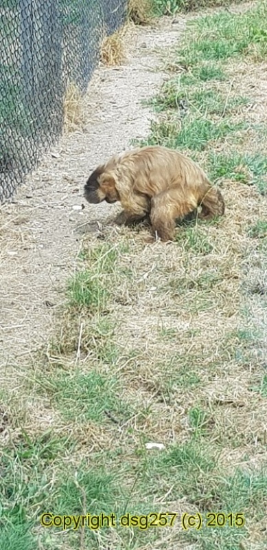 20180719_154206.jpg