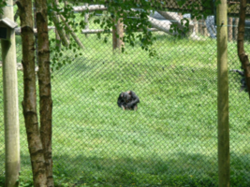 DSCF0012_267x200021111.png