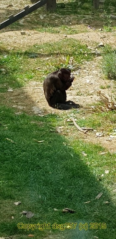 20180719_154255.jpg
