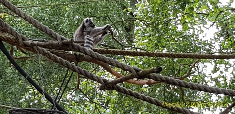 20180719_160806.jpg