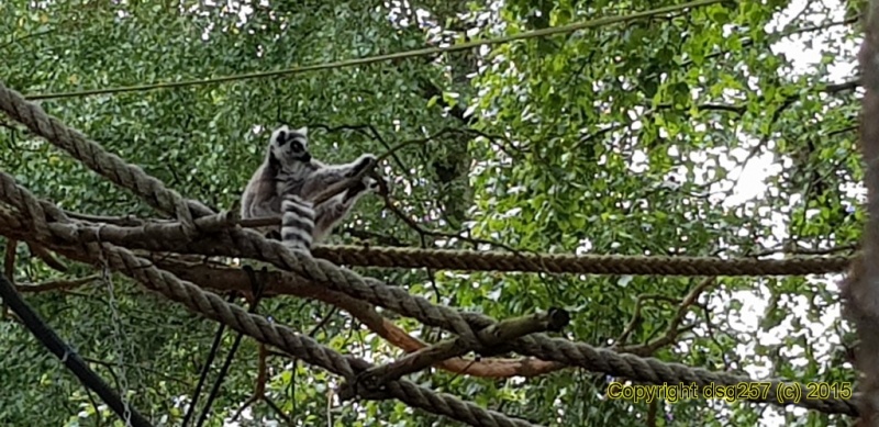 20180719_160807.jpg