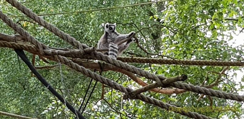 20180719_160809.jpg