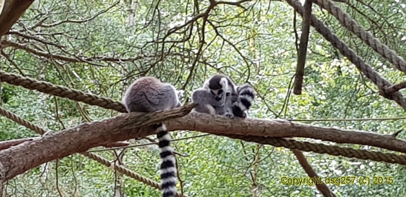 20180719_160811.jpg