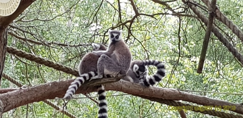 20180719_160830.jpg