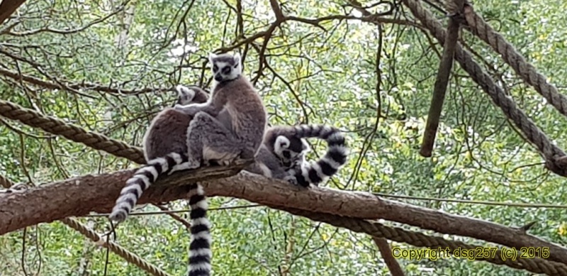 20180719_160831.jpg