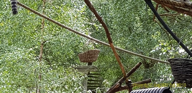 20180719_160836.jpg