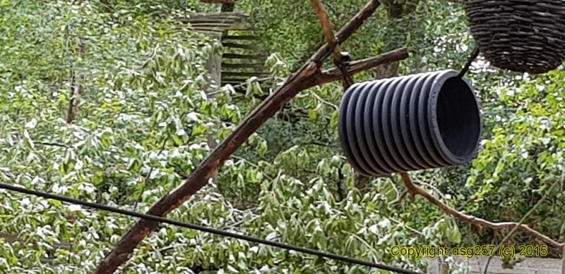 20180719_160837.jpg