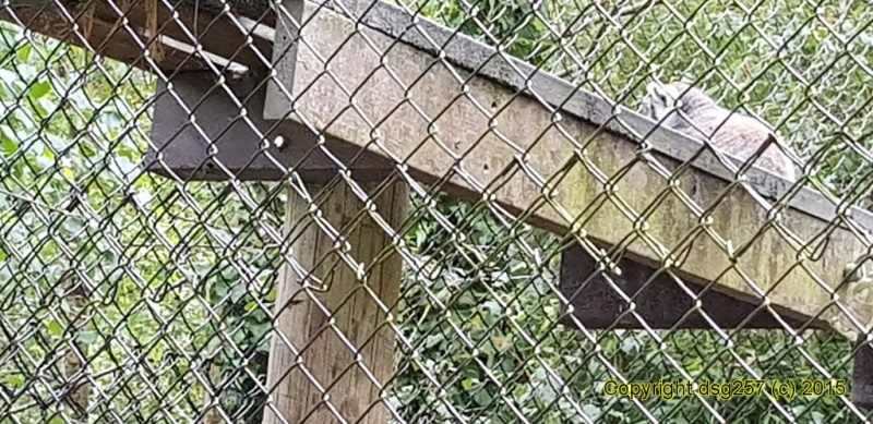 20180719_160920.jpg