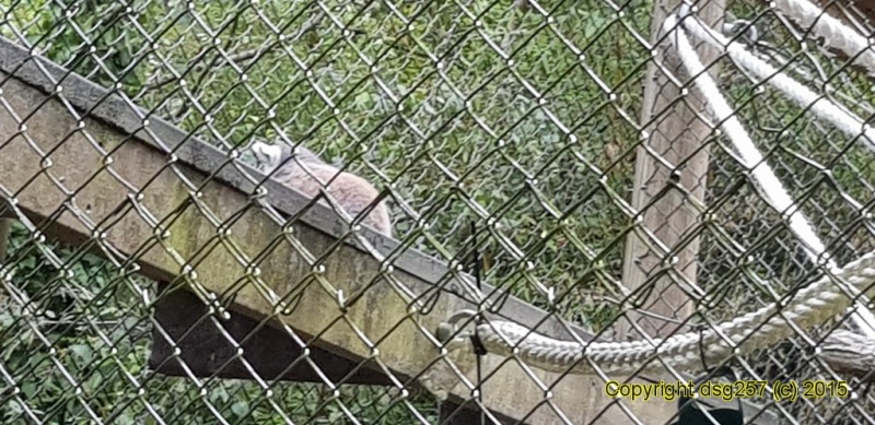 20180719_160921.jpg