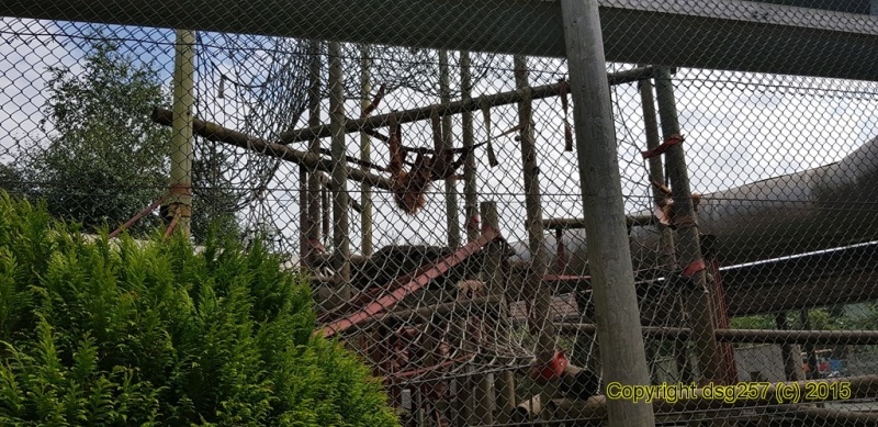20180719_162105.jpg
