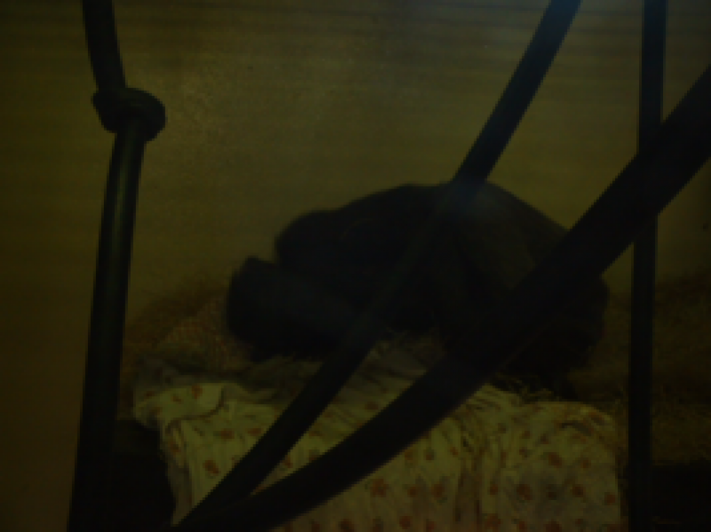 DSCF0019_267x200021111.png