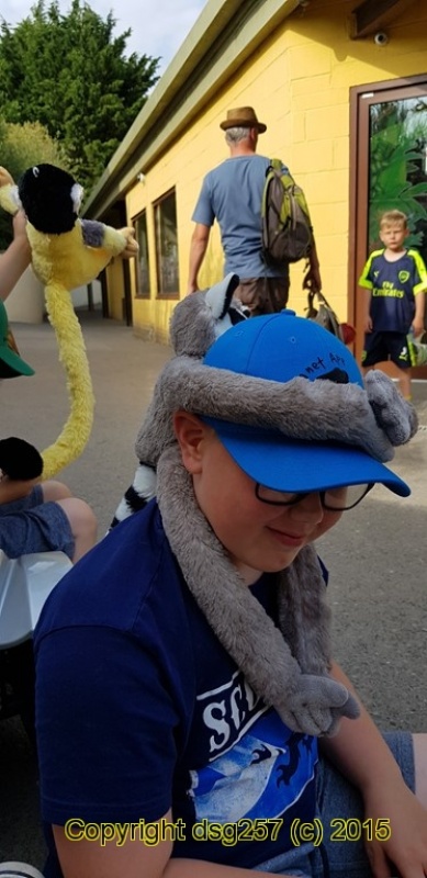 20180719_171223.jpg
