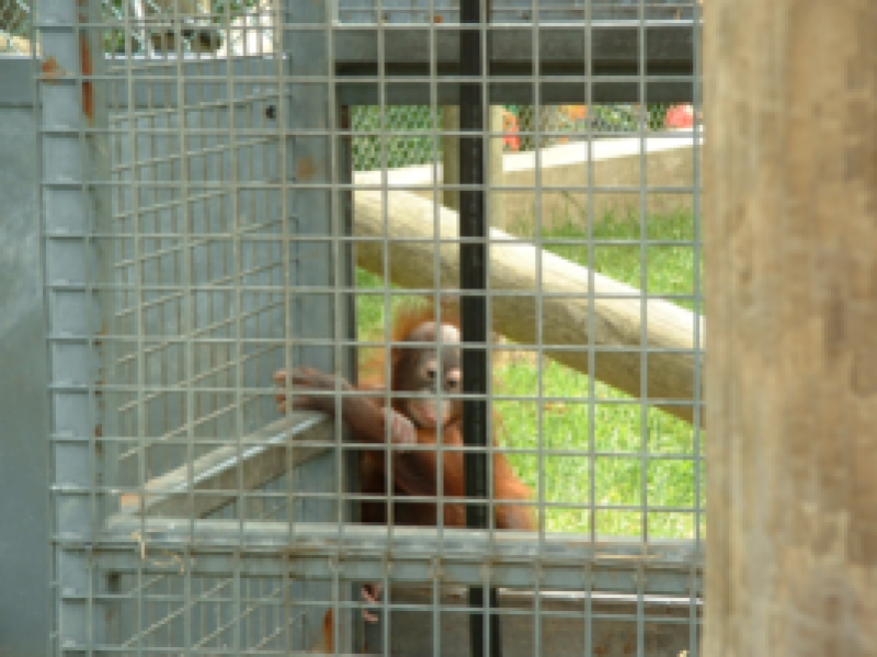 DSCF0029_267x200021111.png