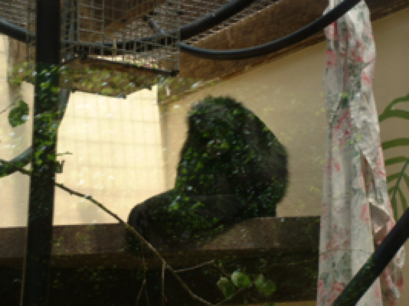 DSCF0044_267x200021111.png