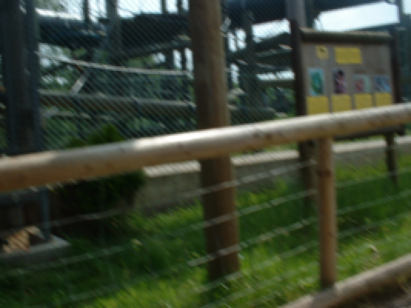 DSCF0055_267x200021111.png