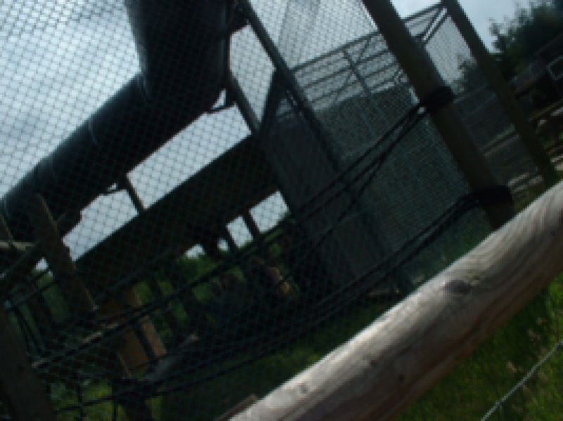 DSCF0058_267x200021111.png