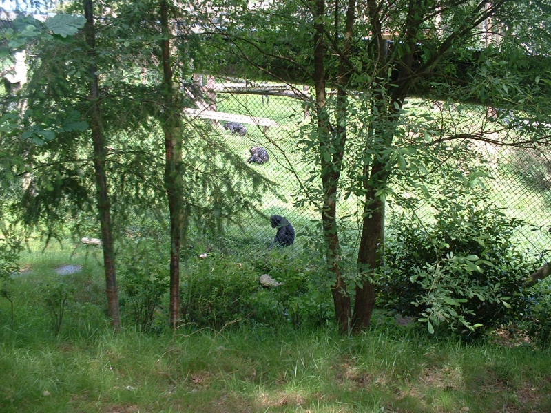 DSCF0015.JPG