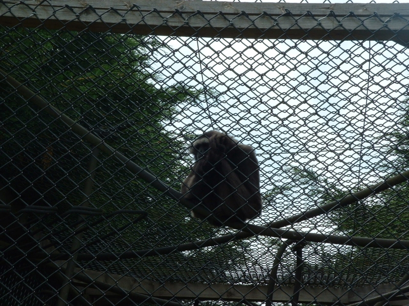 DSCF0043.JPG