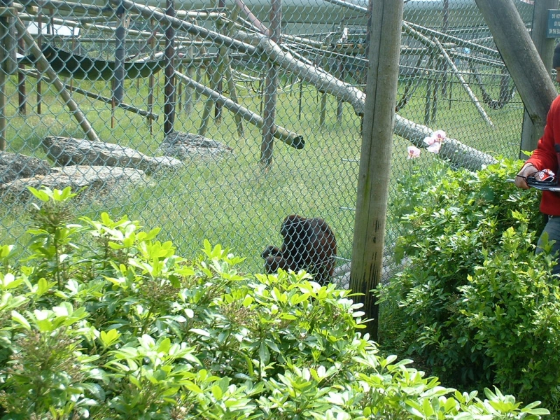 DSCF0049.JPG
