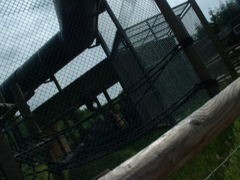 DSCF0058.JPG