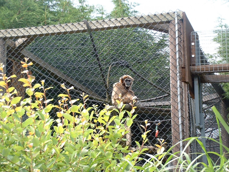 DSCF0062.JPG
