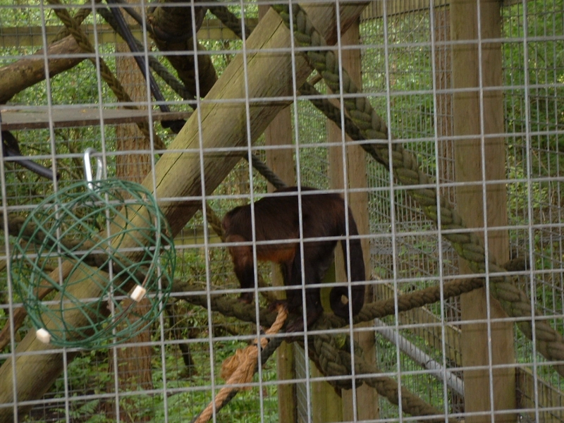 DSCF0072.JPG