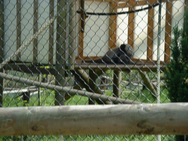 DSCF0076.JPG