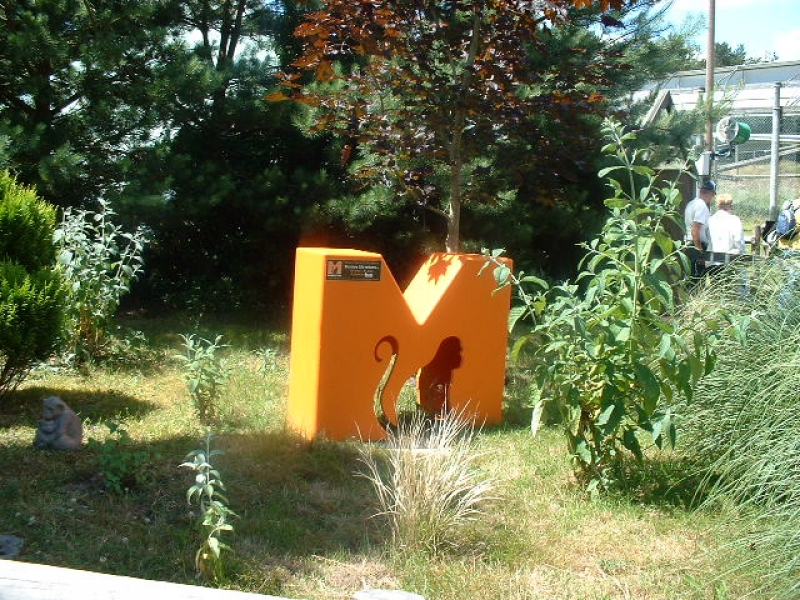 DSCF0097.JPG