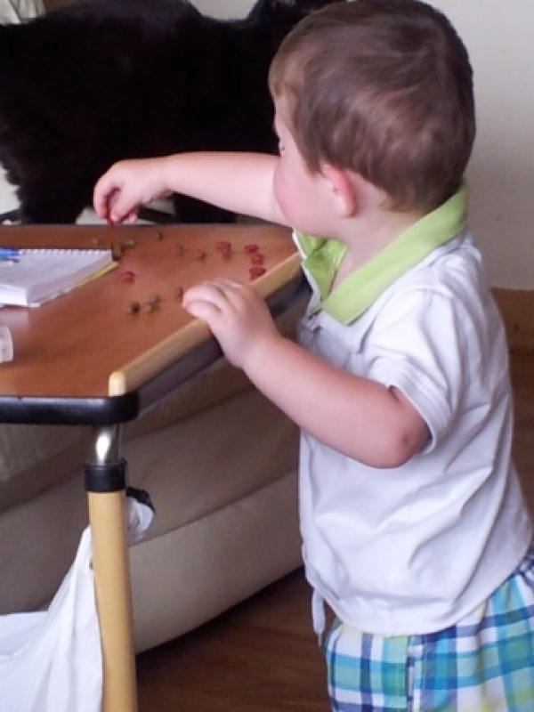 2013-06-10 13.59.22.jpg