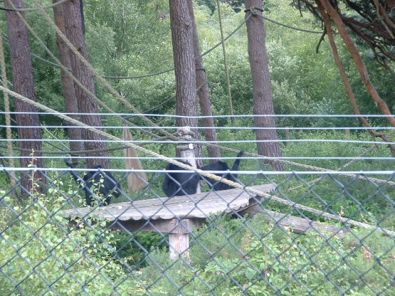DSCF0105.JPG