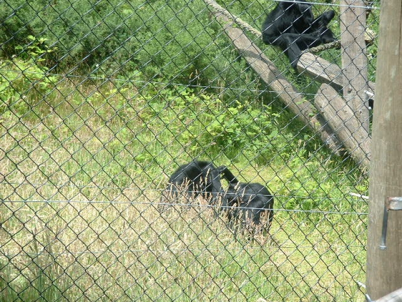 DSCF0106.JPG