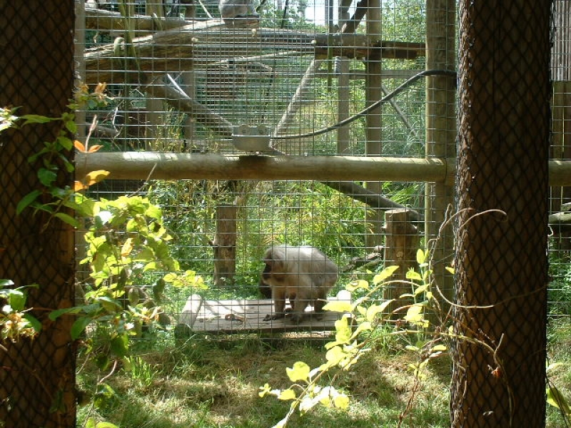 DSCF0108.JPG