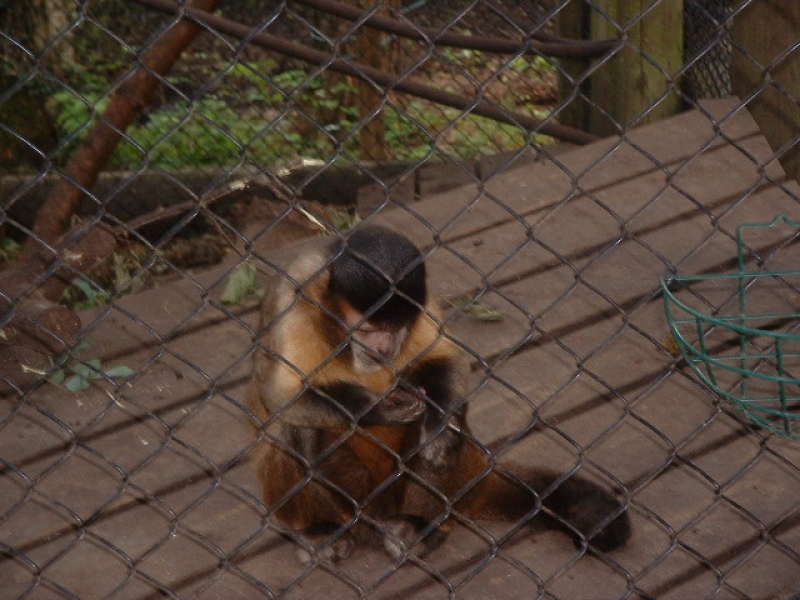 DSCF0111.JPG