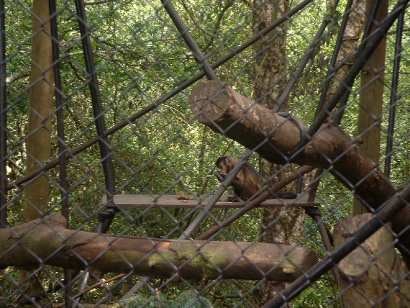 DSCF0113.JPG