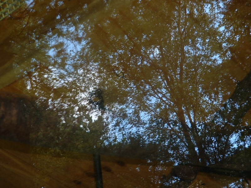 DSCF0116.JPG