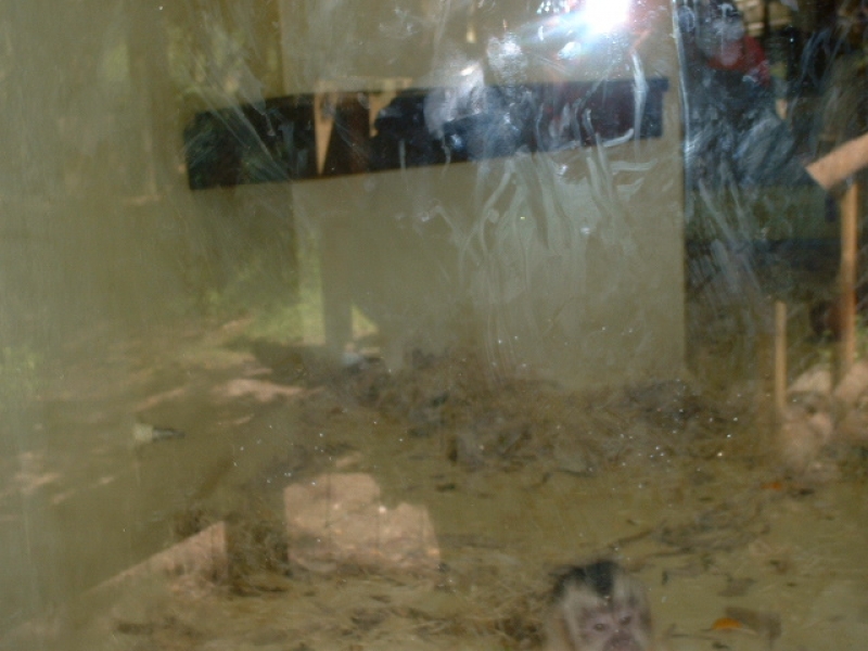 DSCF0122.JPG