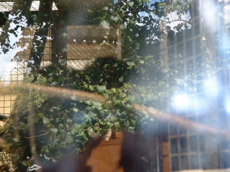 DSCF0124.JPG