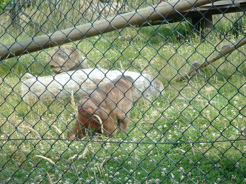 DSCF0131.JPG