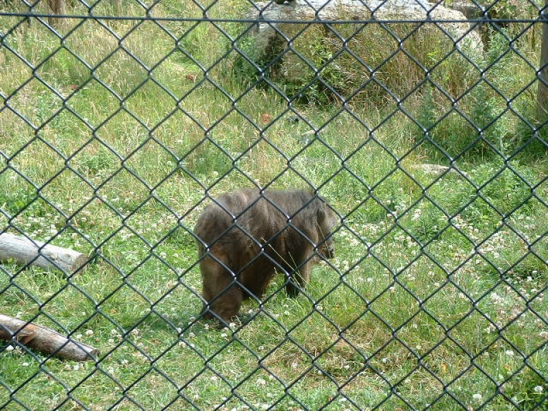 DSCF0135.JPG