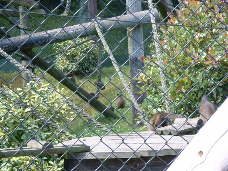 DSCF0139.JPG