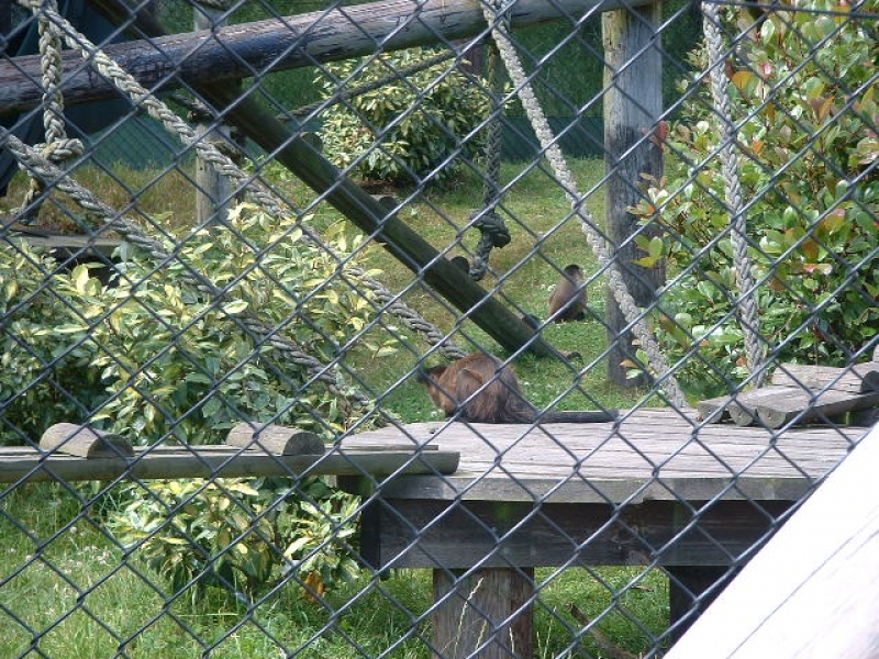 DSCF0140.JPG