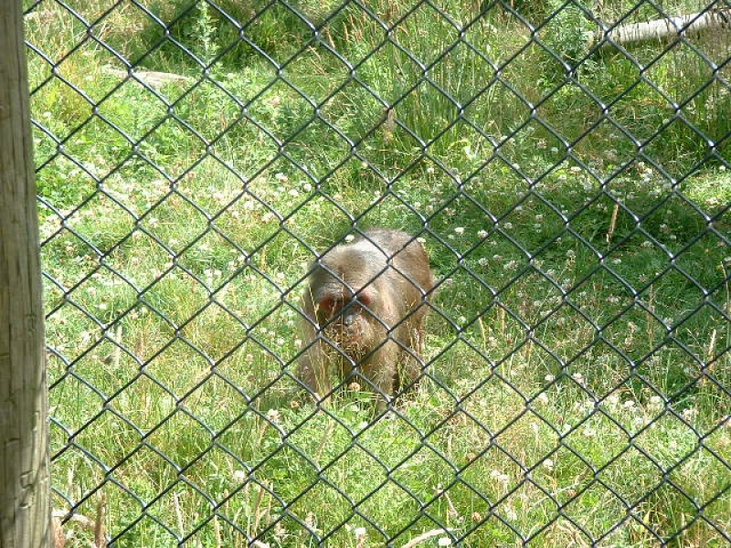 DSCF0143.JPG