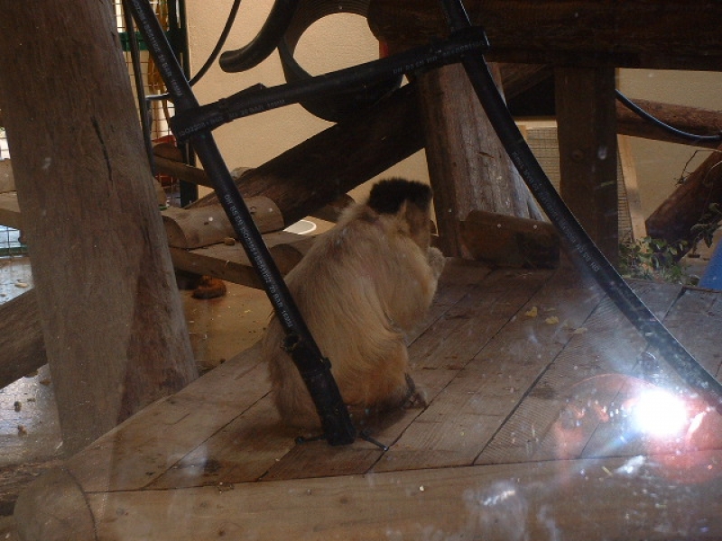 DSCF0144.JPG