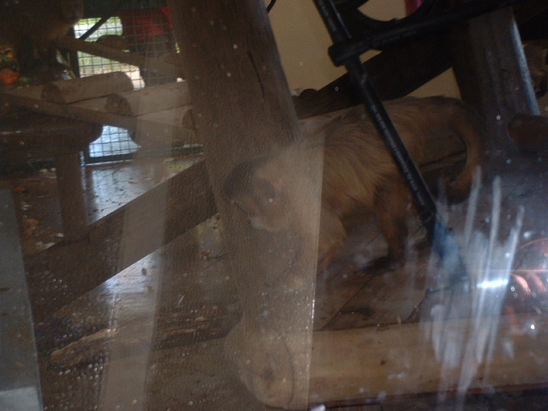 DSCF0146.JPG