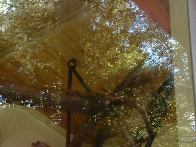 DSCF0151.JPG