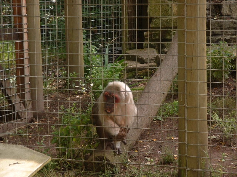 DSCF0157.JPG