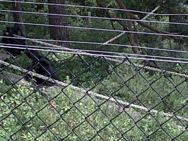 PIC00007.JPG