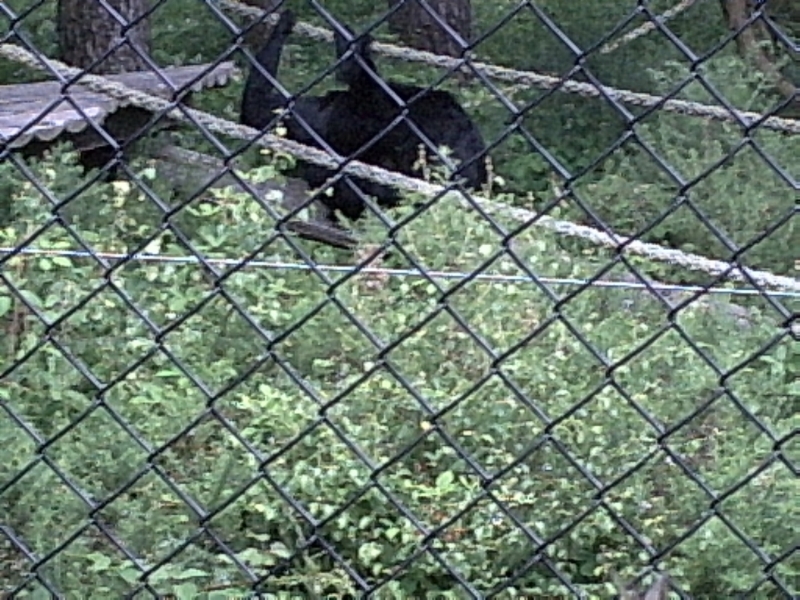 PIC00008.JPG
